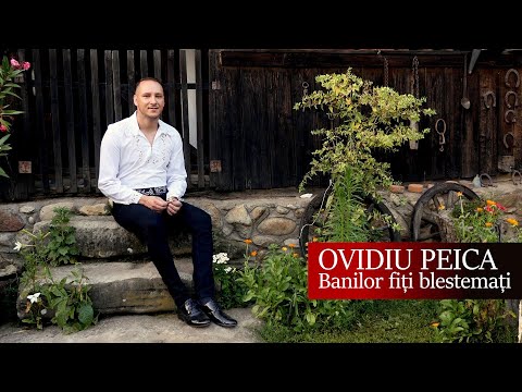 Ovidiu Peica - Banilor fiti blestemati
