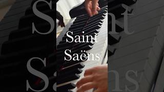 Download lagu Aquarium #saintsaens #saintsaëns #langlang #aquarium #steinway #pianopractice #水族館 #サン=サーンス #ピアノ練習 mp3