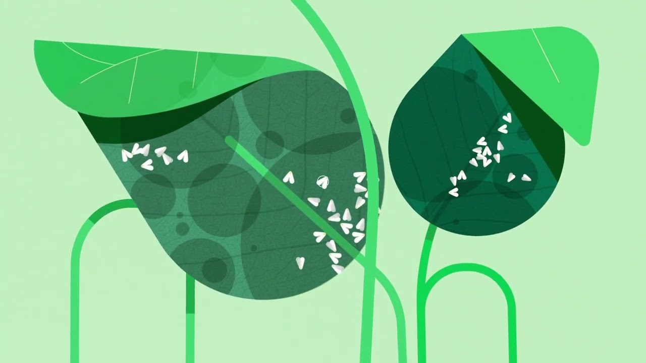 Video preview poster