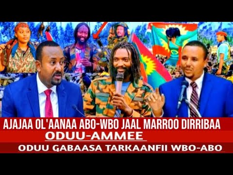 Ajajaa ol'aanaa abo-wbo jaal marroo Dirribaa haasawa adda taasise October 2025