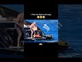 Triple H And Stephanie McMahon Enjoying Their Vacation Wwe Tripleh Stephaniemcmahon Funny Meme