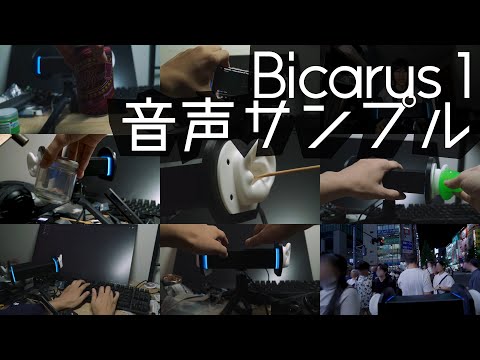Bicarus 1 Sample Recording thumbnail