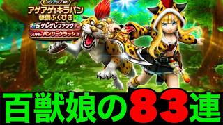 ゲレゲレファング初日８３連にてすごい奇跡が・・・！？【ドラクエウォーク】