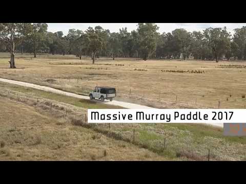 Massive Murray Paddle - MMP415
