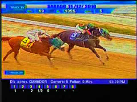 Resumen Sábado, 11 de Diciembre de 2010 - La Rinconada