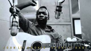 JOHN LEE HOOKER - Shake it Baby