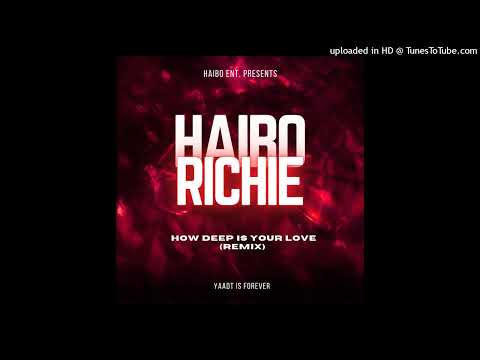 Haibo Richie - How Deep Is Your Love (Remix)