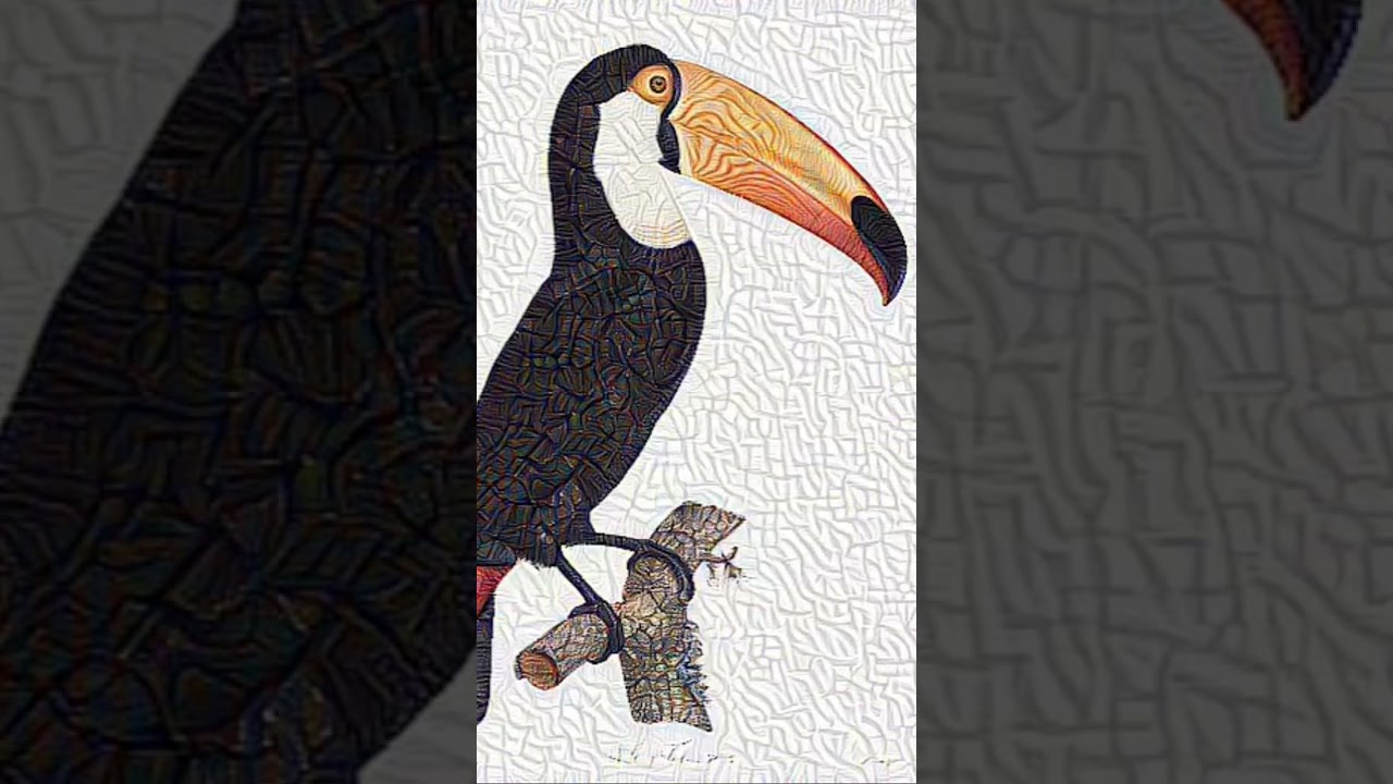 Drawing an Abstract Bird Using AI