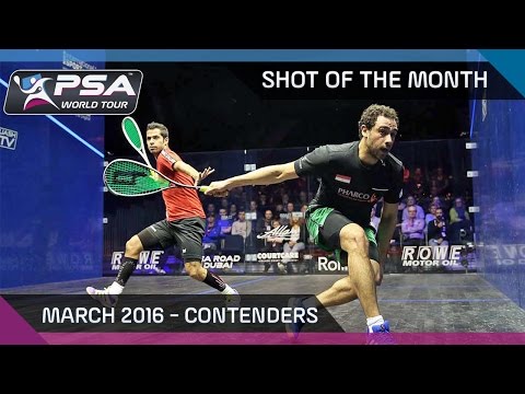 Squash: Shot of the Month - Mar '16: The Contenders