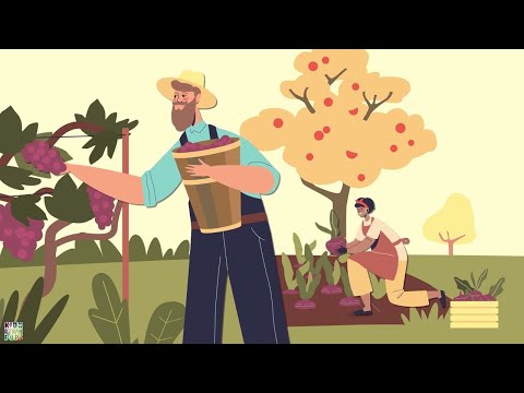 L' autunno di Vivaldi (da Le Quattro Stagioni)