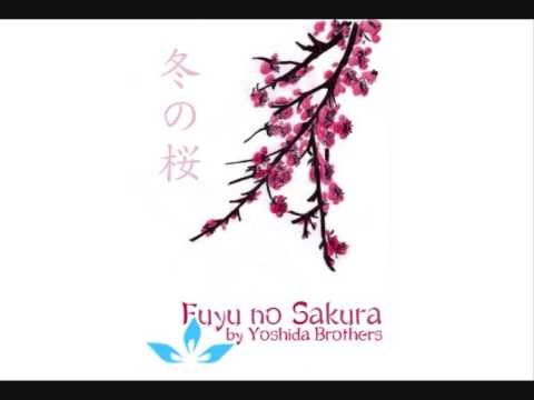 Yoshida Brothers - Fuyu no Sakura