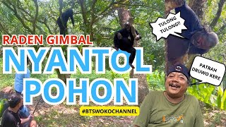 Download lagu PAK NDUT NULUNGI GENDRUWO BOTAK || BTS WOKO CHANNEL 122 mp3 Download lagu PAK NDUT NULUNGI GENDRUWO BOTAK || BTS WOKO CHANNEL 122 mp3