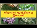 விநாயகர் சதுர்த்திக்கு 21 வகை இலைகள் 21l