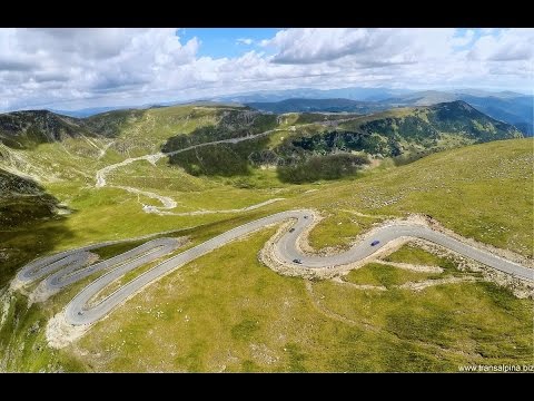 Transalpina drona