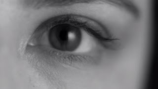 Fernanda Takai - Insensatez