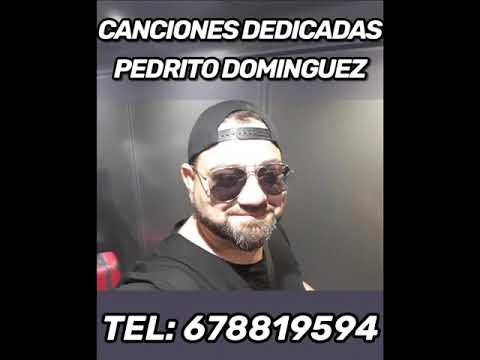 Pedrito Dominguez Para Juan De Los Didis 2020
