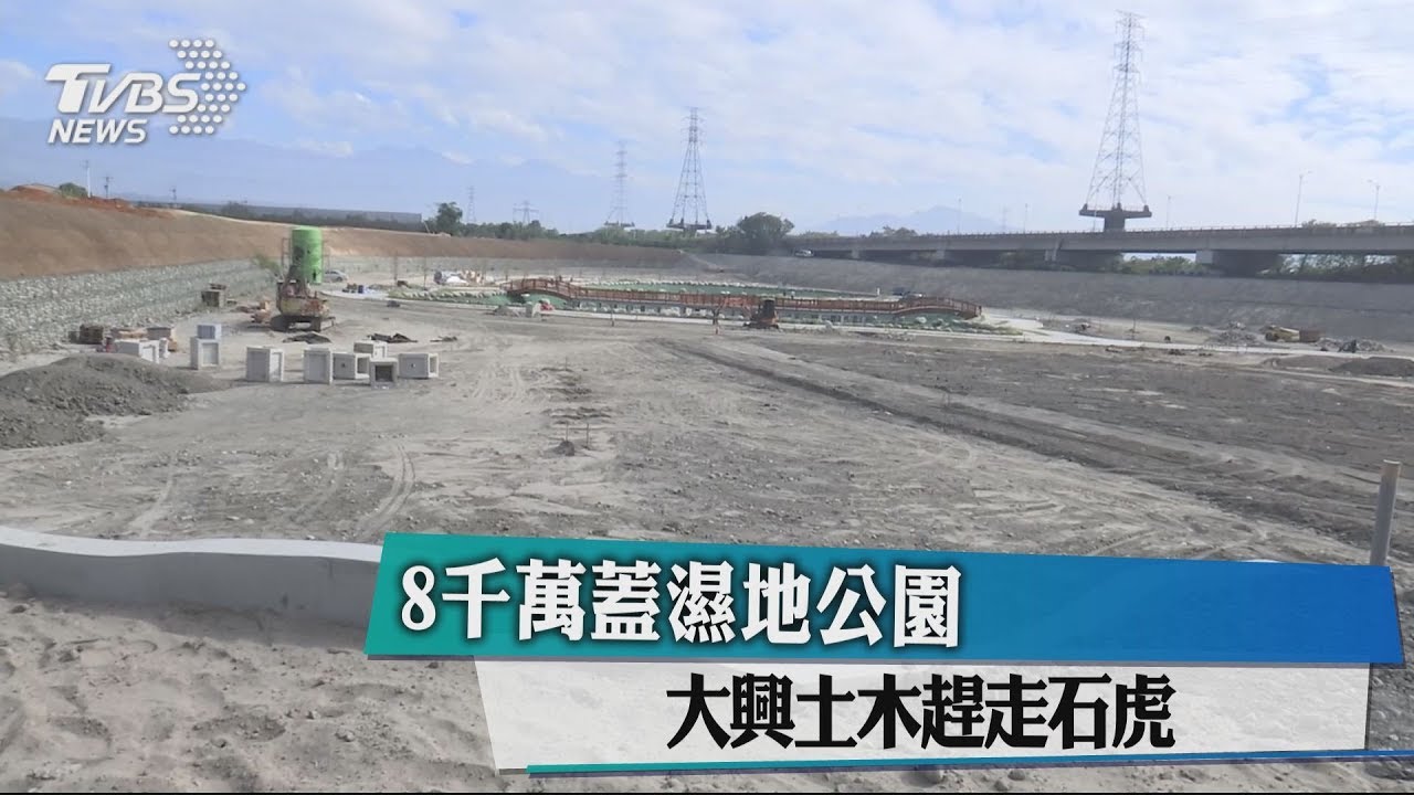 8千萬蓋濕地公園　大興土木趕走石虎