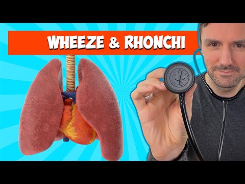 Wheeze and Rhonchi 🩺 🫁: Lung Sounds For Beginners 🔥🔥🔥