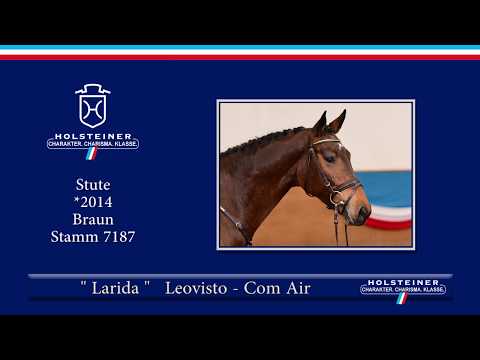 Holsteiner Frühjahrsauktion 2019 | Nr. 129 - Larida v. Leovisto - Com Air