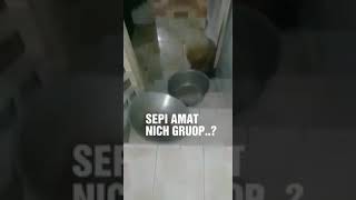 Download lagu Story wa grup sepi mp3