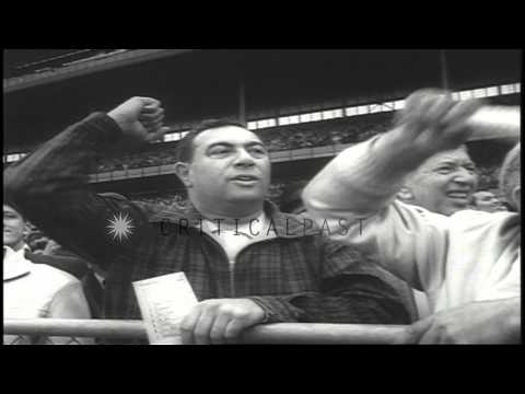 Sword Dancer wins Grey Leg Handicap in New York, United States HD Stock Footage