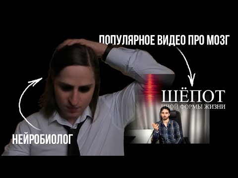 РЕАКЦИЯ НЕЙРОБИОЛОГА НА ВИДЕО ALI ПРО МОЗГ