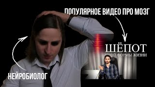 РЕАКЦИЯ НЕЙРОБИОЛОГА НА ВИДЕО ALI ПРО МОЗГ ч. 1