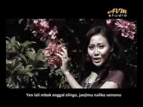 Ngenteni | Cici Shahita