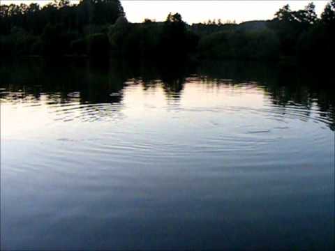 Vallee Lake Video