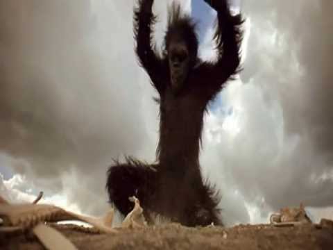2001: A Space Odyssey - 1968 - The Greatest Movie Scene
