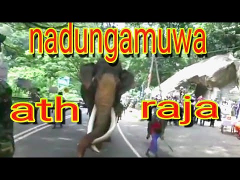 nadungamuwe ath raja (gamane nimawa) mayuranath sanjeewa  2021 new