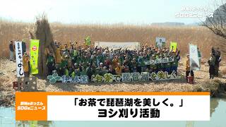 【野洲のおっさんSDGsニュース】「お茶で琵琶湖を美しく。」滋賀県×株式会社伊藤園のヨシ刈り活動