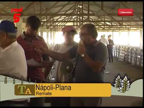 REMATE PLANA - NAPOLI.SALADILLO.07-03-18