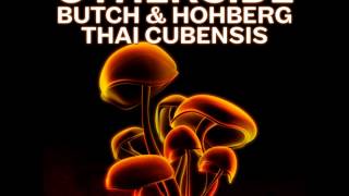 Butch &amp; Hohberg - Thai Cubenis (Diferit Remix)
