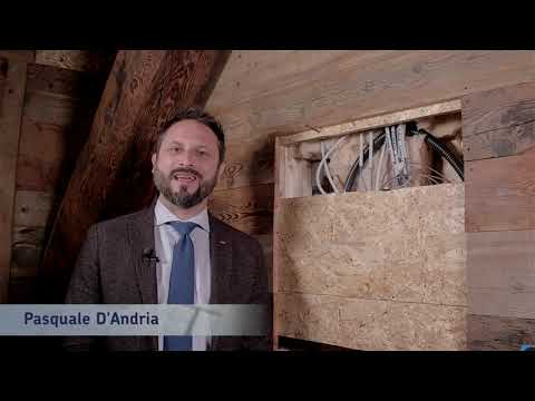 Видеообзор