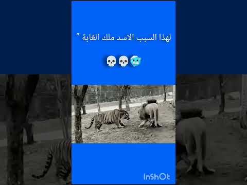 تابعني لترى الافضل باذن الله 1