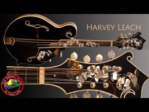 Harvey Leach - The Geisha Inlay Art Guitar (pairs with The Samurai - also listed) image 11