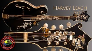 Harvey Leach's Intricate Guitar Inlays on Colour In Your Life