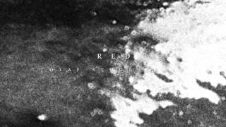 The Acid - Red (Olaf Stuut Remix)