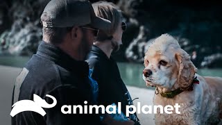 Thumbnail del capítulo