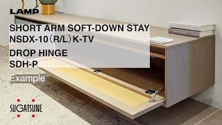 [FEATURE] ARM SOFT-DOWN STAY NSDX-10 (R/L) K-TV / DROP HINGE SDH-P - Sugatsune Global