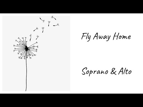 Fly Away Home SA