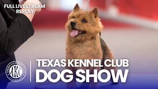 Texas Kennel Club Dog Show 2026: Cara Juri Menilai Anjing dalam Pertunjukan Semua Ras