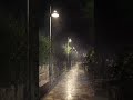 Rain Beautiful Scene Rain Video Status Barish Status Rain WhatsApp Status Night Rain Scene