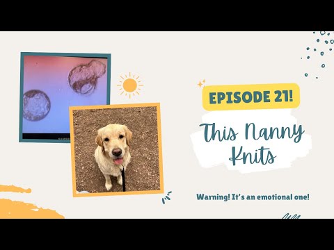 Episode 21 ~ Thisnannyknits