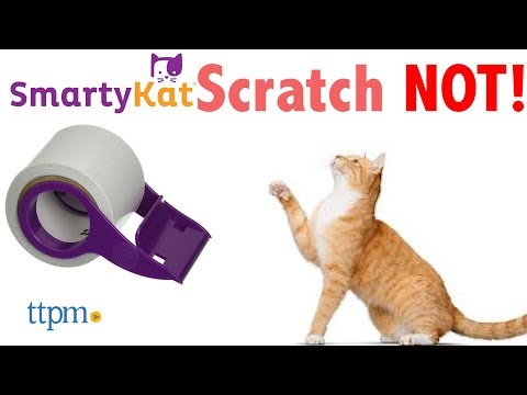 smartykat scratch not