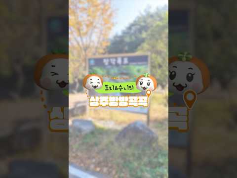 상주의 숨겨진 보물, 장각폭포!