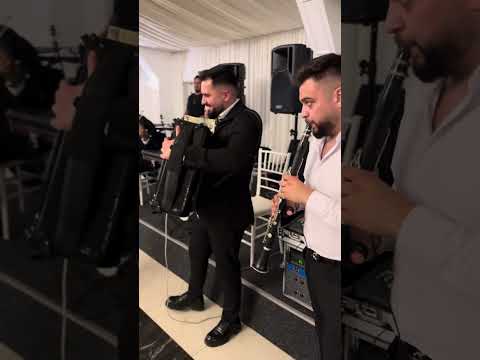 Daniel Migodici & Sud Music - Program sârbesc la Poiana Mare 2025