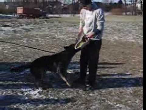 Argo z Jukasu - protection - 20 months