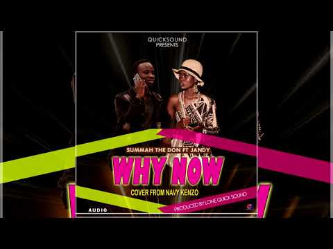Summah The Don_X_Jandy_Why Now_Cover #Navykenzo